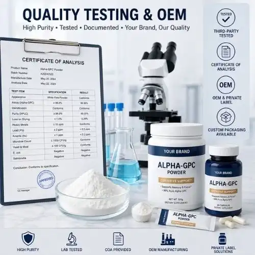 Best Alpha-GPC Powder Manufacturers for OEM Brands - Yangge